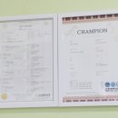 댕댕수라간 이미지