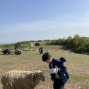 명수목장 이미지