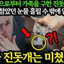 허리케인 유럽 피해에 대응 [중국 & 한국] 이미지