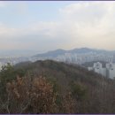 올레길 산림형 4코스 Daum카페