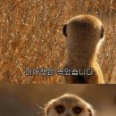 진희재활용