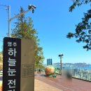 민주공원중극장 | 부산 민주공원 겹벚꽃 실시간 개화 현황 (4/7)