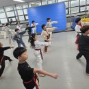 경희대 청람 태권도장 이미지