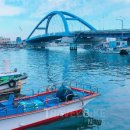 파도대게 이미지