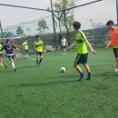 백두풋살장