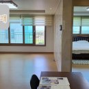 하모리-46 이미지