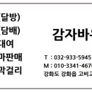바우민박