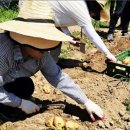 덕고마을 이미지