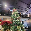 코코폔션 이미지