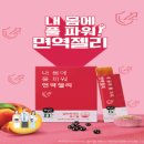 젤리 | 직장인이 직접 구매한 암웨이 면역 젤리 후기