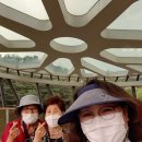 수원산한식부페 Daum카페