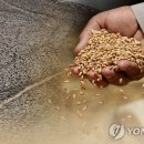 3209 안지현 미디어 융합 독서 (1학기 8차) 이미지