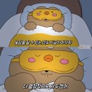 일상포차 - 여수시 | 일상포차