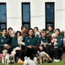 핸즈독(HANDSDOG) 이미지