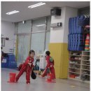 태풍태권도 이미지