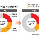 노*성 - 영덕군 텃골길 | 노*성