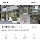 젤라떼리아피오니 이미지