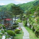 (주)두영푸드