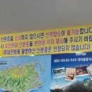 늘푸른농산영농조합법인 | 크루즈 타고 떠나는 울릉도 여행