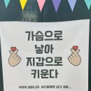 개냥이아울렛 이미지