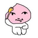 야보고 | 나의 편입일기