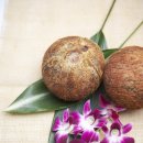 코코넛 모텔 이미지