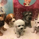 씨엘자뎅 이미지