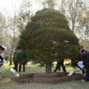 흙과소나무 이미지