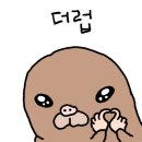 그랑프리안경 위드렌즈 중곡점 이미지