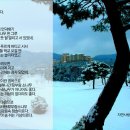 장미화원 이미지