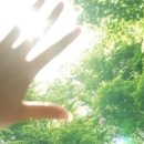 햇빛전자 이미지