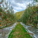 평광농장 이미지