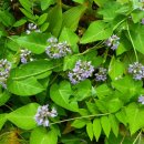 사월봄약국 이미지