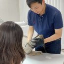 럭스그레이스 이미지