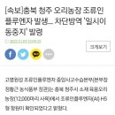 [속보]충북 청주 오리농장 조류인플루엔자 발생... 차단방역 '일시이동중지' 발령 이미지