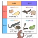 성식축사 | 四字成語 총정리 ㄷ 458 등압면기구~등온변태