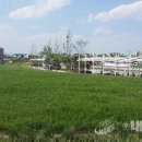 청보리축산 이미지