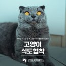 운남동물병원 이미지