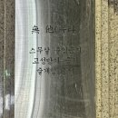 제천 술집 무타(無他) 젊은 감성의 어두운 분위기