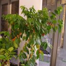 온동농장 이미지