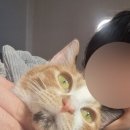 나랑놀자! 이미지