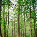 수정로120번길 이미지