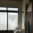 세연슈즈 | 4월 일상