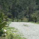 하늘 그리고 바다 민박 이미지