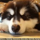하우스펍