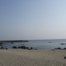 쏠피치 Daum카페
