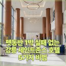 가자 펫택시 강릉점 | 펫동반 1박 실패 없는 강릉 세인트존스 호텔 5가지 비법