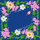 뷰티코리아 이미지