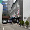 연두백반 | 서울 논현동 평양냉면 맛집 '진미평양냉면'에서 평양냉면 혼밥하고 온 내돈내산 솔직후기(웨이팅X)