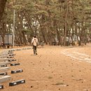 몽산포패밀리데이캠핑장 | 태안몽산포 오토캠핑장 국립 자동차야영장 오션뷰 추천